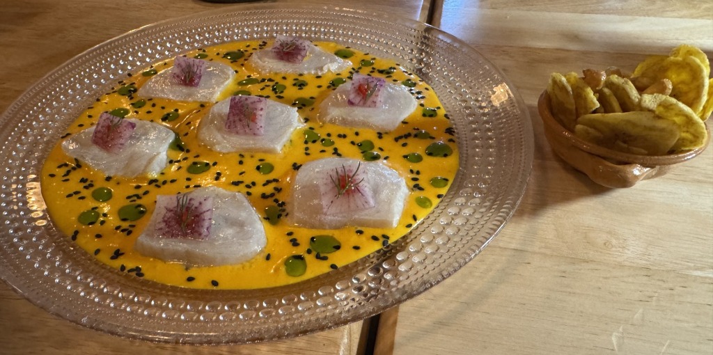 Ecuadorian fish tiradito with yellow pepper sauce and plantain chips at Cotoa in North Miami, Florida